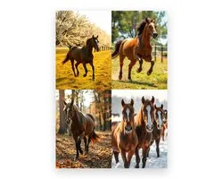 American Quarter Horse calendrier mural 2027 A3 - standard, NL