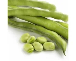 Tuinboon | Wintertuinboon Aguadulce ca 100 gram