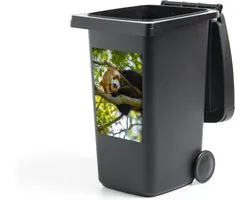 Sticker conteneur Red Pandas - Gros plan d'un panda roux dans les arbres