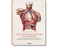 Bourgery, Atlas Of Anatomy