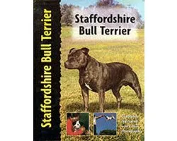 Pet Love Staffordshire Bull Terrier