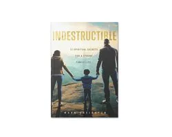 The Indestructible Family 1 - Indestructible