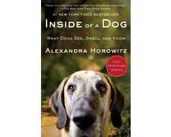 Inside of a Dog