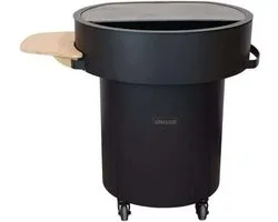 Plancha BBQ Grill Guru