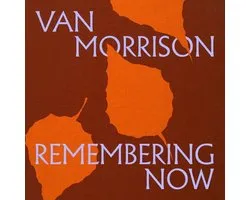 Van Morrison - Remembering Now (CD)