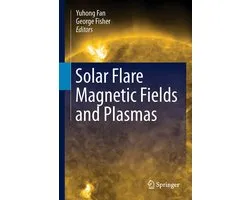 Solar Flare Magnetic Fields and Plasmas