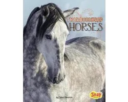 Horse Breeds- Thoroughbred Horses