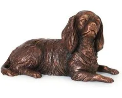 beeld asbeeld urn (gedeelte as) Cavalier King Charles spaniel