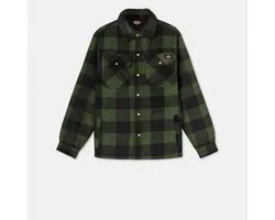 Dickies Portland shirt (EX. DSH5000) DK0A4XTA - Green / Black - S