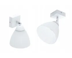 Lichtpunt 30.RBN1.bi LED Metaal Glas E27 Verstelbaar