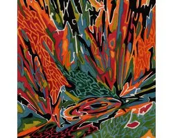 Akusmi - Terra Incognita (CD)