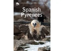 Spanish Pyrenees