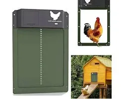 Kippenluik Automatisch - Chickenguard - Kippendeur - Groen