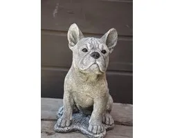 Franse Bulldog, Frenchie voor binnen en buiten