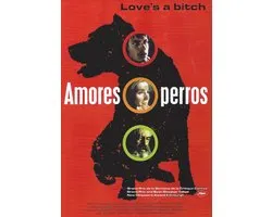 Amores perros (DVD)