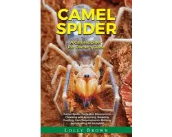 Camel Spider