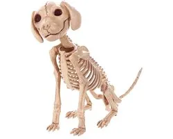 Crazy Bonez Zittend Skelet Puppy Speelgoed