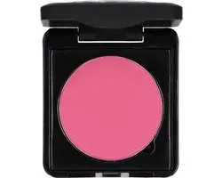 Make-up Studio Blusher in Box Type B - 49