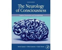 The Neurology of Consciousness