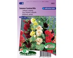 Sluis Garden - Stokroos Summer Carnival Mix (Alcea rosea)