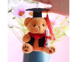 Sleutelhanger Geslaagd / school / diploma / cadeau / graduation keychain / Geslaagd beertje