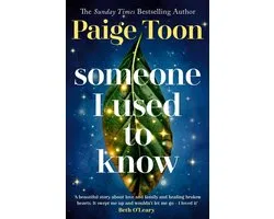 Someone I Used to Know