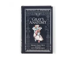 Gray's Anatomy (Barnes & Noble Collectible Classics