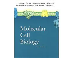 Molecular Cell Biology