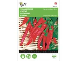 Buzzy® Chilli Cayenne long slim