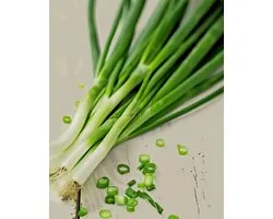 Bosui Zaden White Lisbon Organic Allium Cepa Eenjarig