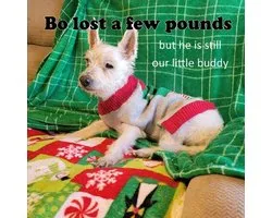 Bo lost a few pounds, but he is still our little buddy