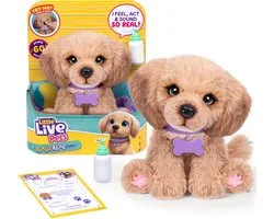 Little Live Pets chiot interactif Bailey