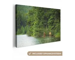 Canvas schilderij 120x80 cm - Wanddecoratie Elanden in het Nationaal park Banff in Noord-Amerika - Muurdecoratie woonkamer - Slaapkamer decoratie - Kamer accessoires - Schilderijen op canvas