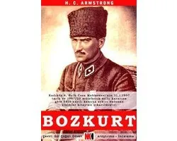 Bozkurt