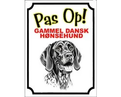 Gammel Dansk Hønsehund 16
