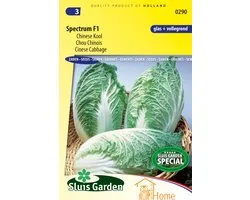 Sluis Garden - Chinese Kool Spectrum F1