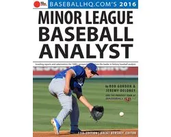 2016 Minor League Baseball Analyst