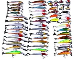 Livano Visspullen - Viskoffer - Tacklebox - Kunstaas - Vis Accessoires - Hengelsport - Spullen - Roofvis - Karper - Snoek - 56 stuks