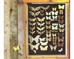 Mayfly - Mayfly (CD) (Remastered)