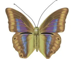 Maison papillon marron/jaune 20 cm - Décoration de jardin - Animal friendly - Hotel/ maison pour papillons