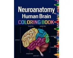 Neuroanatomy Human Brain Coloring Book