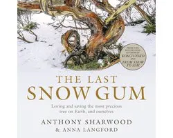 The Last Snow Gum