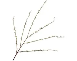 Silk-ka Kunstbloem-Zijden Bloem Wilgentak Groen 111 cm