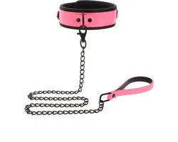 Collar and Chain Leash
