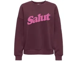 ONLY- ONLZALENTA BOXY L/S BOX CS SWT - Dames - Sweatshirt