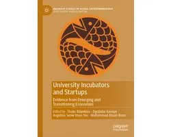 Palgrave Studies in Global Entrepreneurship- University Incubators and Startups