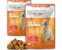 K9 Laboratories Heup & Gewricht - Hondensupplement - Gewrichten, Ouderdom, Behoud van gezond kraakbeen - Met Glucosamine, Chondroïtine, Groenlipmossel, Collageen & MSM - 120 Stuks