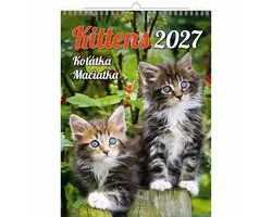 C180-27 Cute Kittens Kalender A3+ 2027