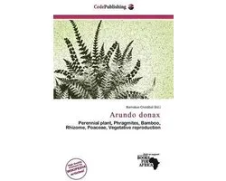Arundo Donax