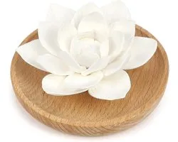 Diffuseur d'huiles essentielles avec pierre parfumée pour huiles essentielles, arôme, pierre parfumée, fleur de lotus, mini pierre diffuseur, set avec boîte d'encens en bois pour chambre, salon, spa et salle de bain